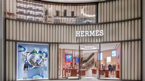 hermes success china|hermes china online.